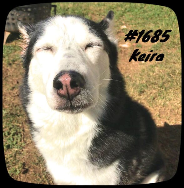 1685 Keira web 1685 Keira web