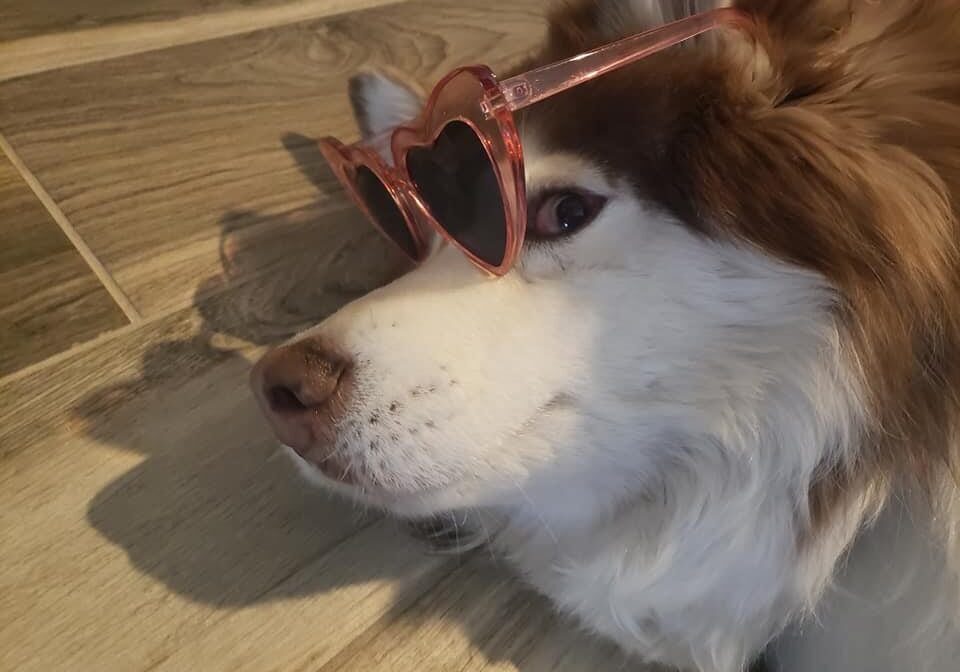 sabrina-sunglasses-1