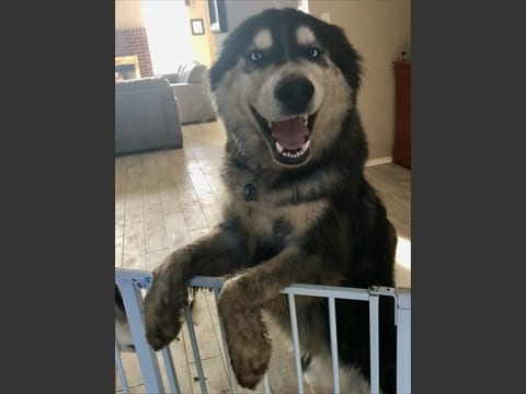 l_3881562_05312021115043877 Calvin