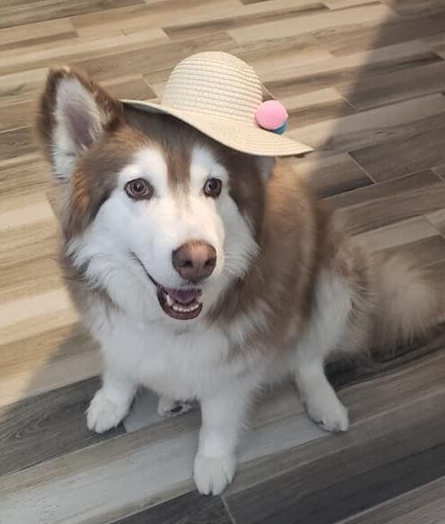 sabrina hat